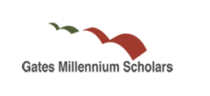 Gates Millennium Scholars logo with three abstract arcs in green and red above the program name in gray text on a white background.