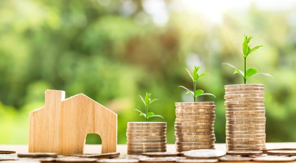 house with money growing